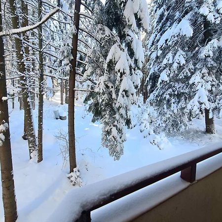Forest Apartment/ Villa Park Borovets Ngoại thất bức ảnh