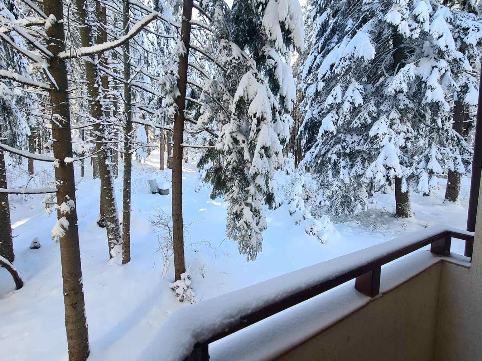 Forest Apartment/ Villa Park Borovets Ngoại thất bức ảnh